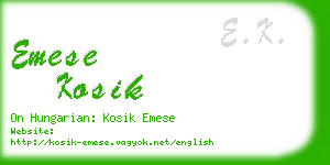 emese kosik business card